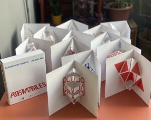 IMG_8084 (1) - Cecilia Arbolave