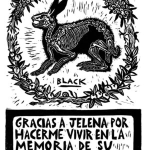 Monotipias luminosas animadas con Cecilia Valagussa y Lara Leru (Italia)