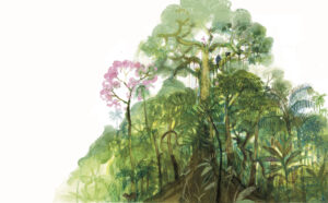 amazonas1 - Elizabeth Builes