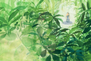 postal colores - Elizabeth Builes